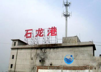 青岛到龙溪集装箱内贸海运物流代理服务